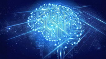 智啟未來 五大AI應用軟件開發(fā)策略驅動業(yè)務擴展